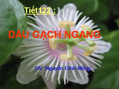 Bài 30. Dấu gạch ngang