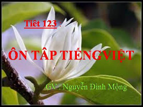 Bài 17. Ôn tập phần Tiếng Việt (tiếp theo)