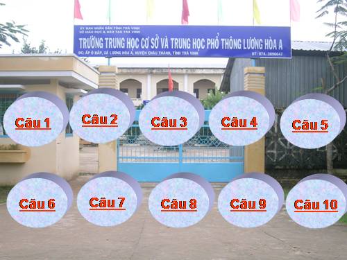 tro choi