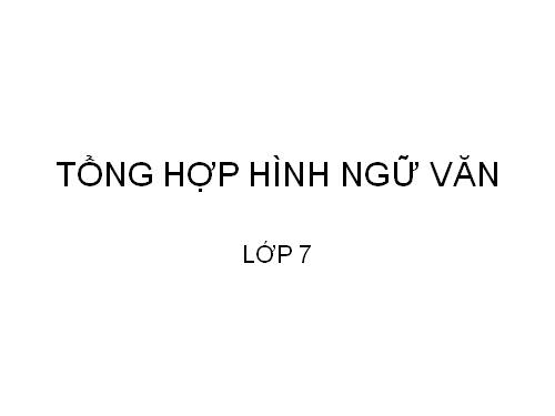 TỔNG HỢP HÌNH NGỮ VĂN 7