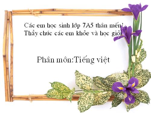 Bài 28. Liệt kê