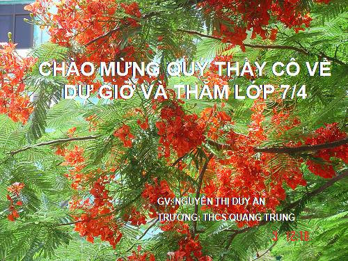 Bài 27. Dùng cụm chủ - vị để mở rộng câu: Luyện tập (tiếp theo)