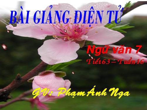 Bài 15. Mùa xuân của tôi