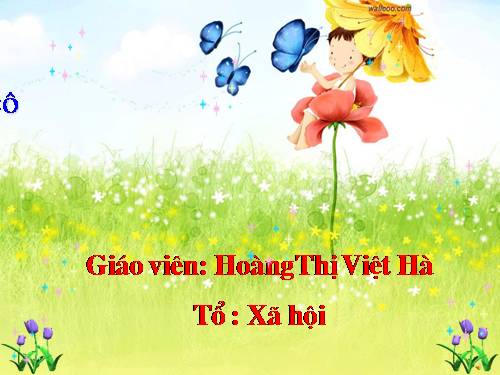 Bài 19. Tục ngữ về con người và xã hội