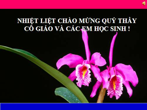 Bài 14. Chơi chữ