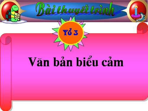 Tìm hiểu Văn Bản biểu cảm