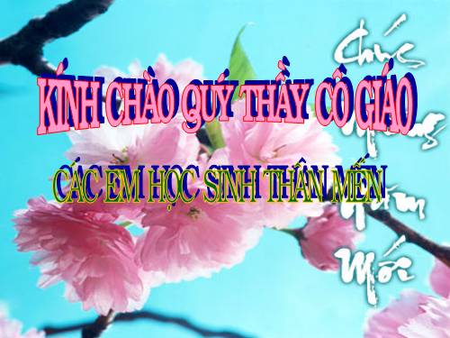 Bài 15. Mùa xuân của tôi