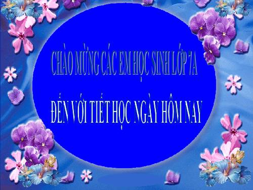 Bài 20. Câu đặc biệt