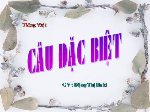 Bài 20. Câu đặc biệt