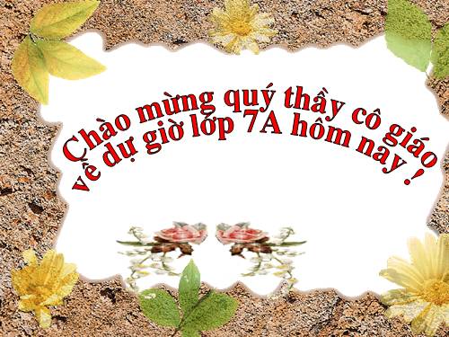 Bài 6. Từ Hán Việt (tiếp theo)