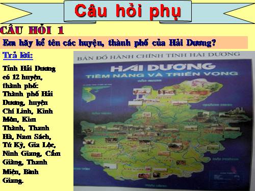 Chân dung nha giao Tứ Kỳ