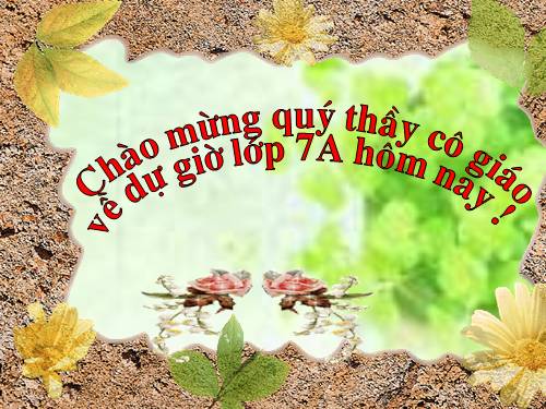 Bài 1. Từ ghép