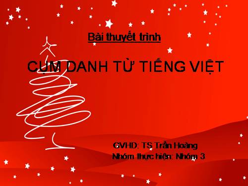 Cụm danh từ tiếng Việt