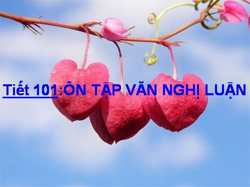 Bài 25. Ôn tập văn nghị luận