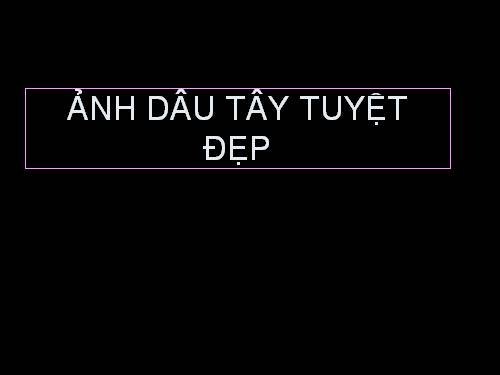 dâu tây ngon tuyệt