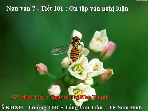 Bài 25. Ôn tập văn nghị luận