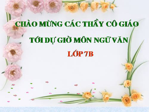 Bài 20. Câu đặc biệt