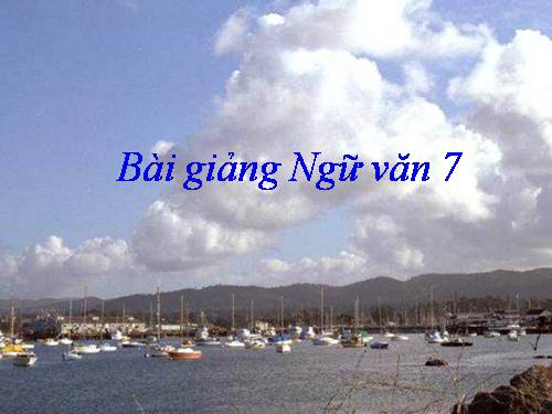 Bài 14. Chuẩn mực sử dụng từ