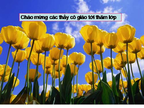 Bài 11. Từ đồng âm