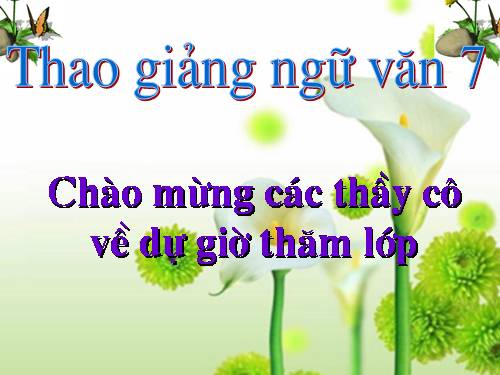 Bài 11. Từ đồng âm