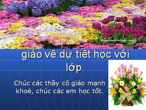 Bài 11. Từ đồng âm