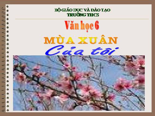 Bài 15. Mùa xuân của tôi