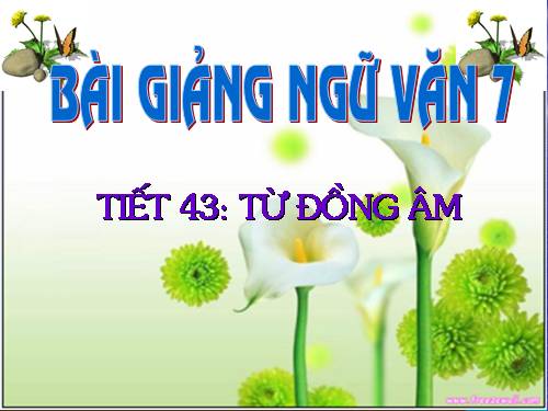 Bài 11. Từ đồng âm