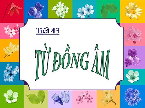 Bài 11. Từ đồng âm