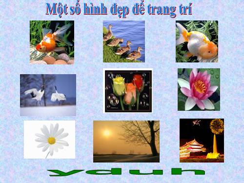 Anh dep lam nen