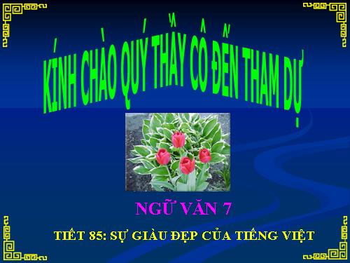 Bài 21. Sự giàu đẹp của Tiếng Việt