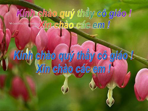 Bài 11. Từ đồng âm