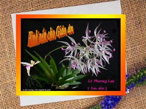 hinh nen cho giao an