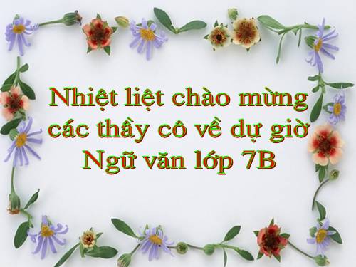 Bài 24. Chuyển đổi câu chủ động thành câu bị động (tiếp theo)