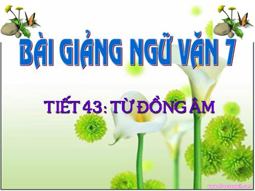 Bài 11. Từ đồng âm