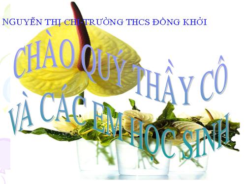 Bài 11. Từ đồng âm