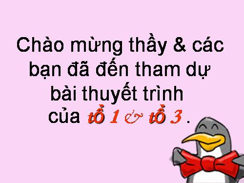 Bài 28. Ca Huế trên sông Hương