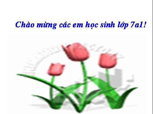 Bài 26. Sống chết mặc bay