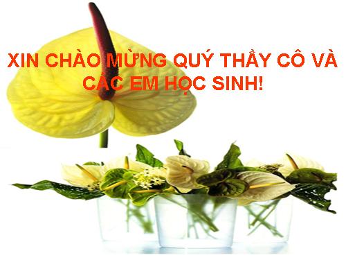 Bài 24. Chuyển đổi câu chủ động thành câu bị động (tiếp theo)