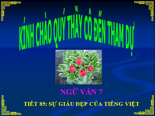 Bài 21. Sự giàu đẹp của Tiếng Việt