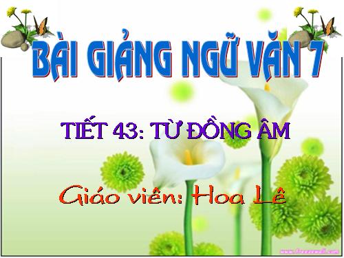 Bài 11. Từ đồng âm