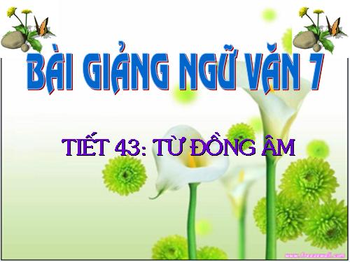 Bài 11. Từ đồng âm