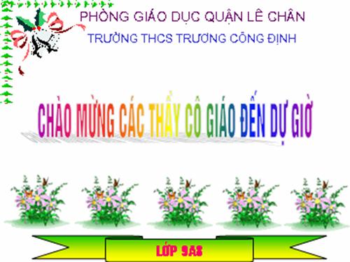 Bài 15. Mùa xuân của tôi