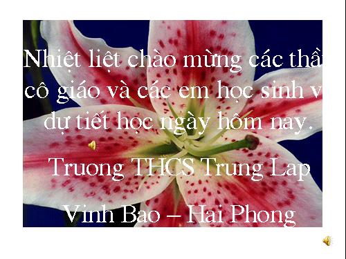 Bài 10. Từ trái nghĩa