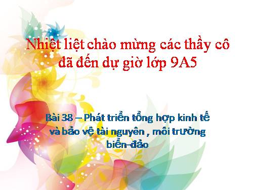 Bài 38. Phát triển tổng hợp kinh tế và bảo vệ tài nguyên, môi trường biển - đảo