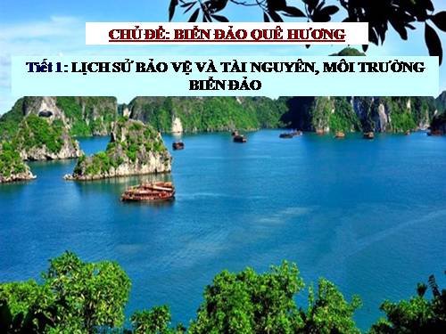 Bài 38. Phát triển tổng hợp kinh tế và bảo vệ tài nguyên, môi trường biển - đảo