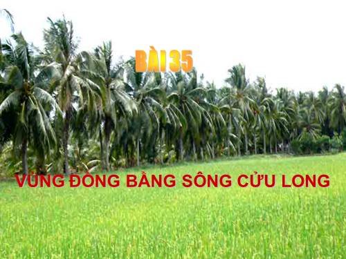 Bài 35. Vùng Đồng bằng sông Cửu Long