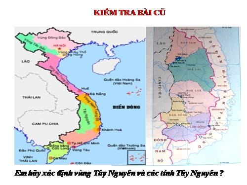 Bài 29. Vùng Tây Nguyên (tiếp theo)