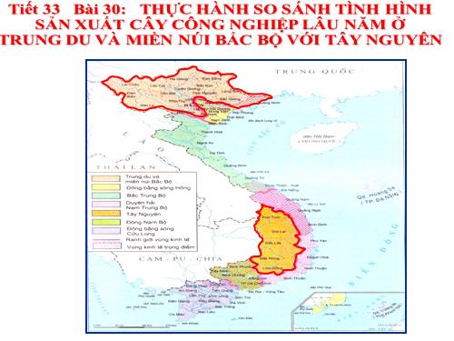 Bài 30. Thực hành: So sánh tình hình sản xuất cây công nghiệp lâu năm ở Trung du và miền núi Bắc Bộ với Tây Nguyên