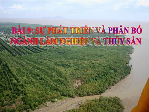 Bài 9. Sự phát triển và phân bố lâm nghiệp, thuỷ sản