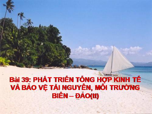 Bài 39. Phát triển tổng hợp kinh tế và bảo vệ tài nguyên, môi trường biển - đảo (tiếp theo)